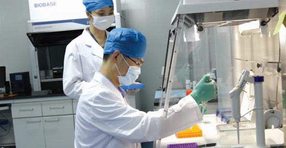 dna鉴定技术的运用仪器（DNA鉴定技术的应用）