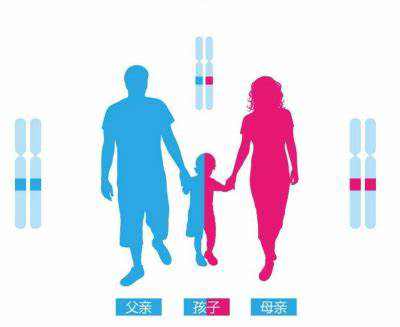 爷孙之间可以做亲子鉴定吗？