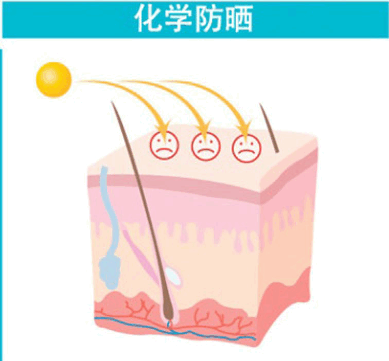 防晒材料在生活中的应用