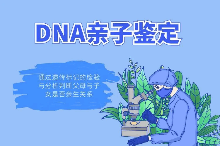 DNA的基本结构和其在遗传信息传递中的作用（DNA亲子鉴定的原理）