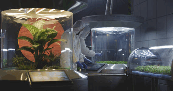 基于“拟境栽培”的中药材生态种植技术：推动中药产业绿色发展的新篇章