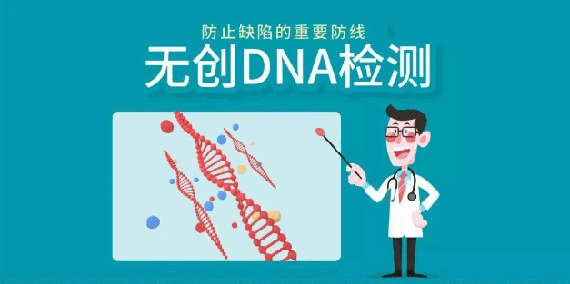 无创DNA产前检测技术（NIPT）在检测胎儿染色体异常方面的应用
